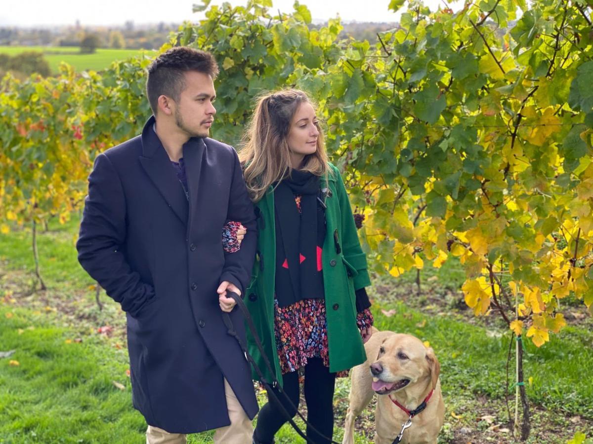 Hencote Vineyard Glamping Village Shrewsbury Exteriör bild